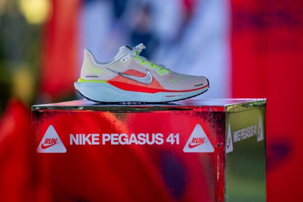 The Nike Pegasus 41