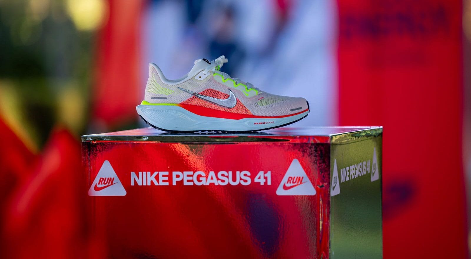 The Nike Pegasus 41